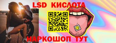 прущие грибы Донецк