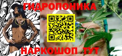 соль ск Дубна