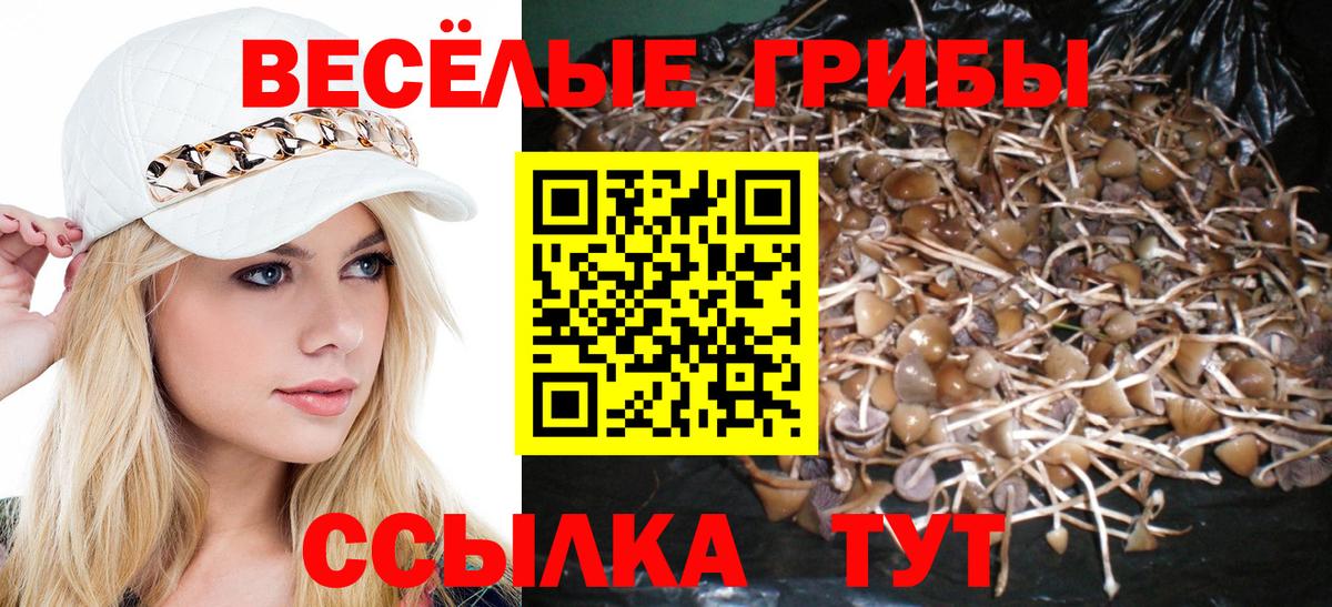 Можга  как найти наркотики  Вход с VPN  Галлюциногенные грибы мицелий 